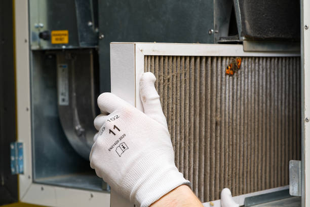 Best Home Air Vent Cleaning  in East Bernard, TX