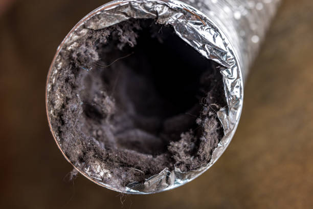 Best HVAC System Cleaning  in East Bernard, TX