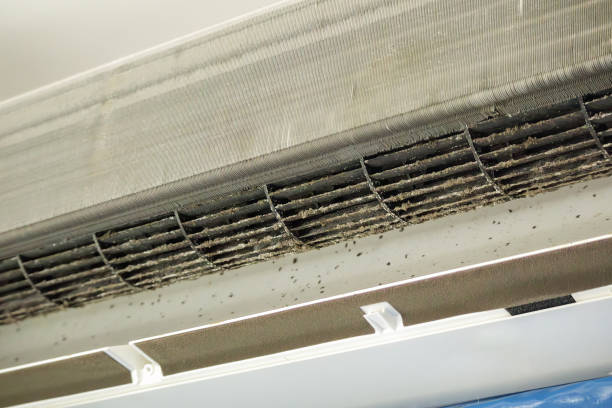 Best Local Air Duct Cleaning Services  in East Bernard, TX